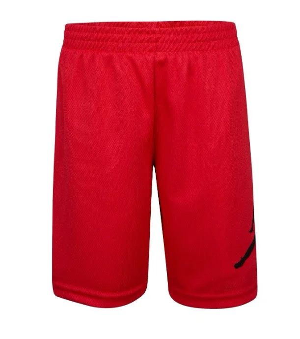 Slim Fit Nike Air Jordan ShortS