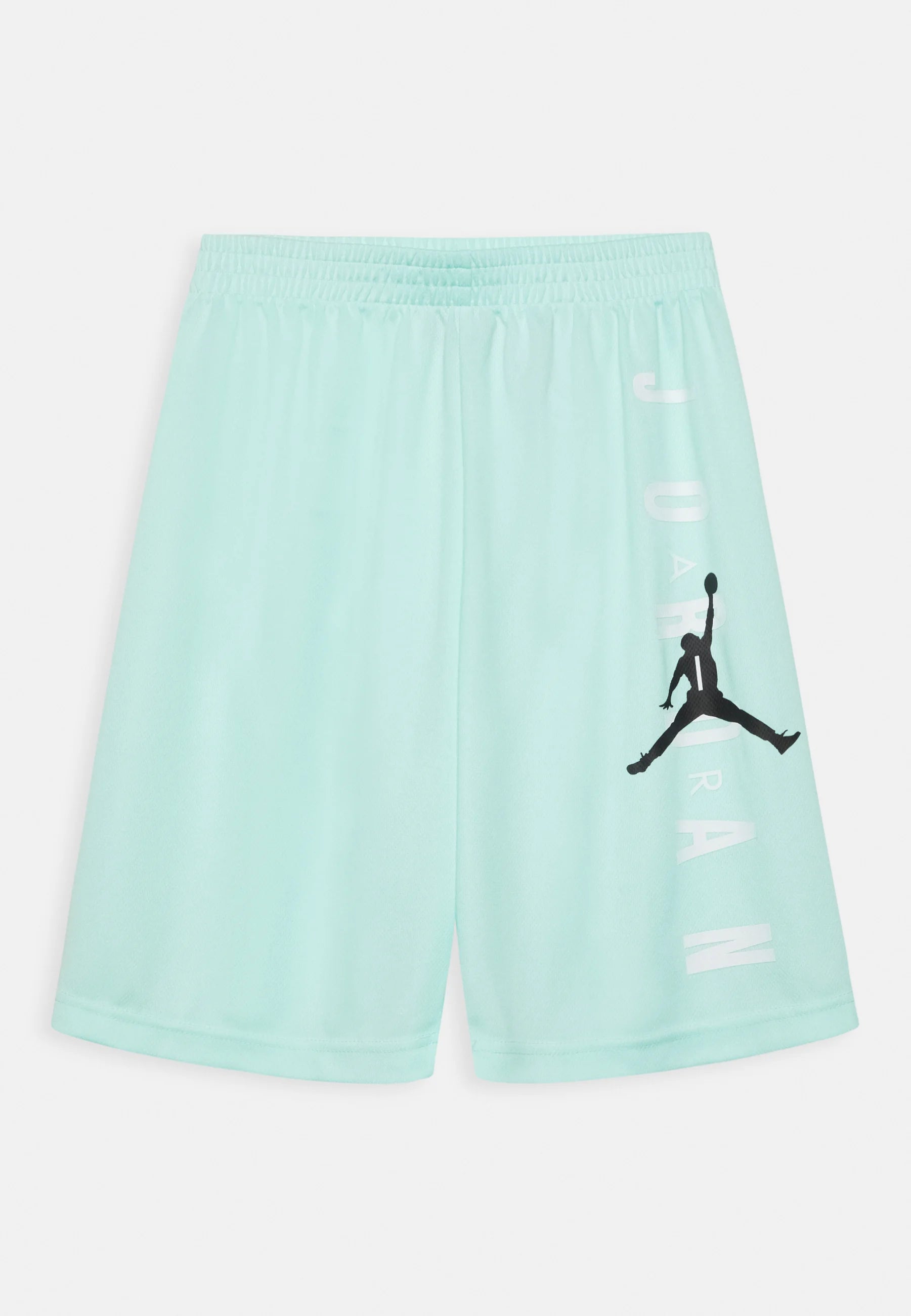 Celebrity Style Nike Air jordan Shorts